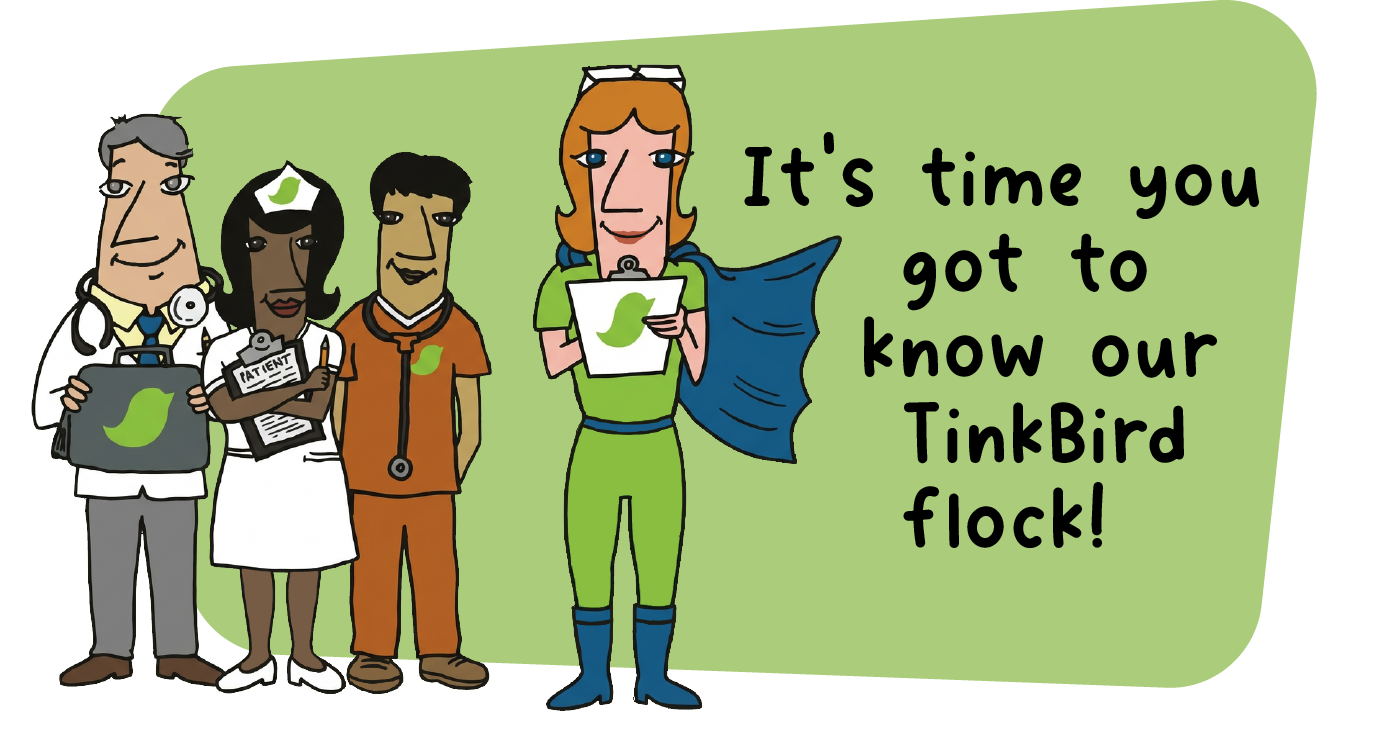It's time you got to know out Tinkbird flock!